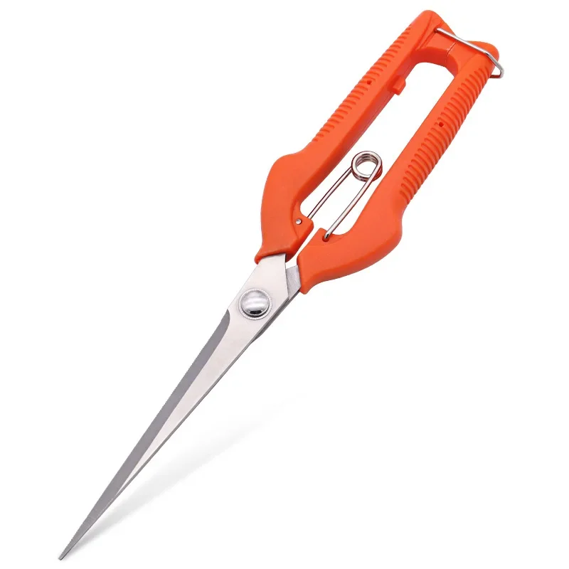Grape Scissors Pruning Shears  - Furniture Joining Hardware ulasan dan harga