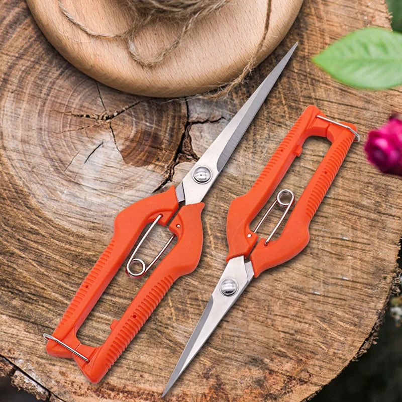 Grape Scissors Pruning Shears  - Furniture Joining Hardware ulasan dan harga